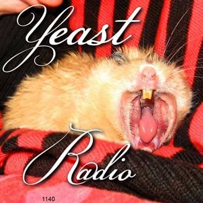 yeast radio 1140 feminism sucks and sells